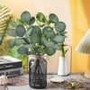 91iTo09J1kL._AC_SL1500_.jpg 13.5" Fake Plants for Black Bathroom Decor Artificial Eucalyptus Stems in Black